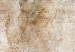 Canvas Rust Texture - An Abstract Composition in Shades of Pastel Brown 151427 additionalThumb 4