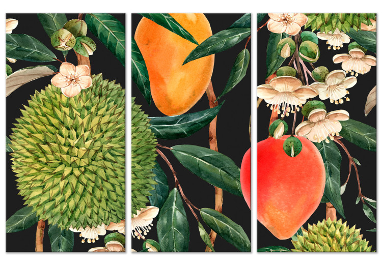 Canvas Print Exotic Fruits - A Colorful Composition of Tropical Vegetation 151827