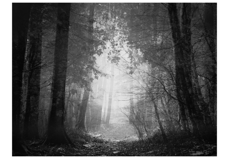 Photo Wallpaper Shadow Forest - Black-and-White Landscape with a Leaf-Covered Path Surrounded by Forest 60527 additionalImage 1