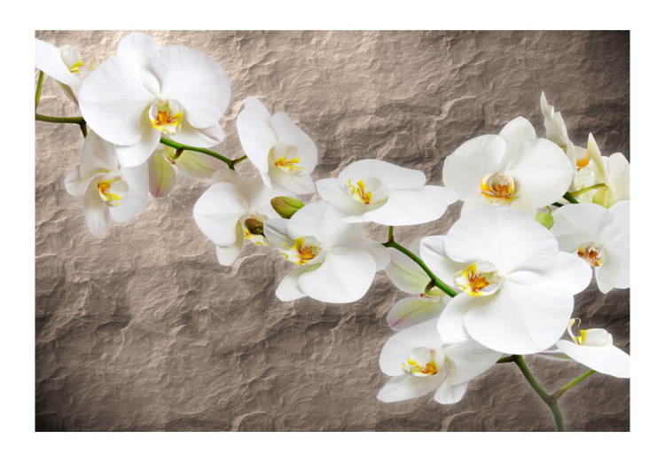 Wall Mural Orchid Flowers - White Flowers on a Gray Background with Irregular Texture 60627 additionalImage 1