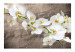 Wall Mural Orchid Flowers - White Flowers on a Gray Background with Irregular Texture 60627 additionalThumb 1