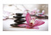 Wall Mural Asian Feng Shui Culture - Zen stones with an orchid on a bright background 61427 additionalThumb 1