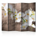 Room Separator Orchid Immaculateness II - flower on a brown stone texture background 95327