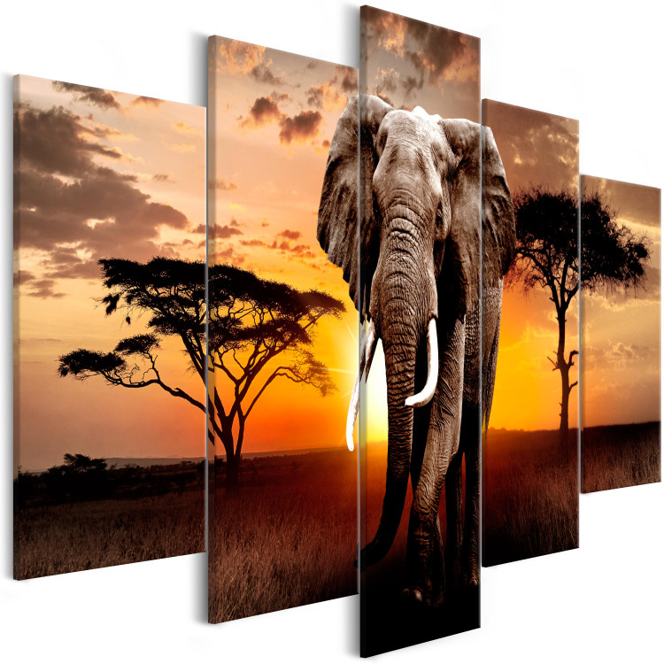 Canvas Print Wandering Elephant (5 Parts) Wide 107237 additionalImage 2