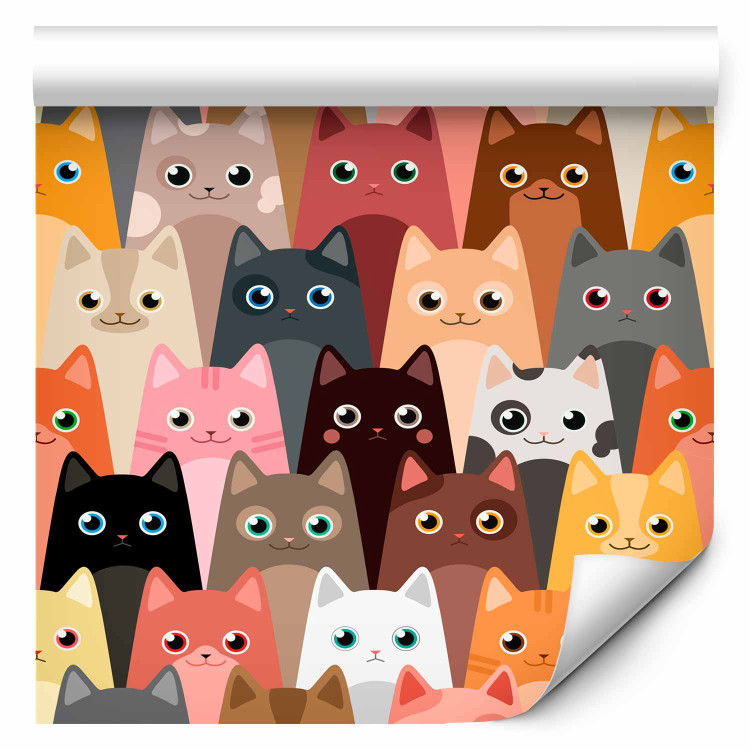 Modern Wallpaper Bunch of Cats 108437 additionalImage 6