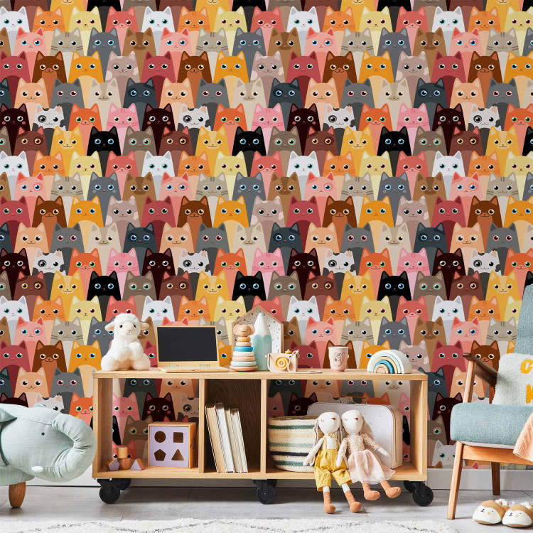 Modern Wallpaper Bunch of Cats 108437