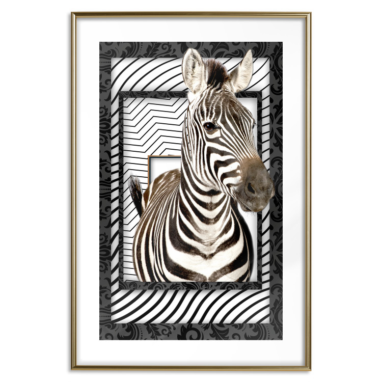 Poster Zebra - black and white composition with a striped mammal on a patterned background 116437 additionalImage 14