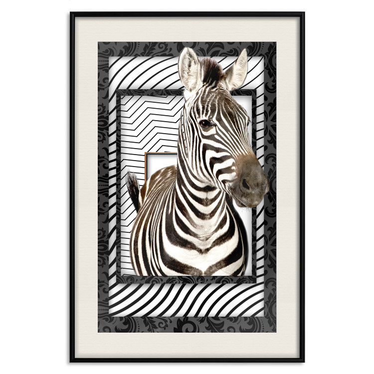 Poster Zebra - black and white composition with a striped mammal on a patterned background 116437 additionalImage 18