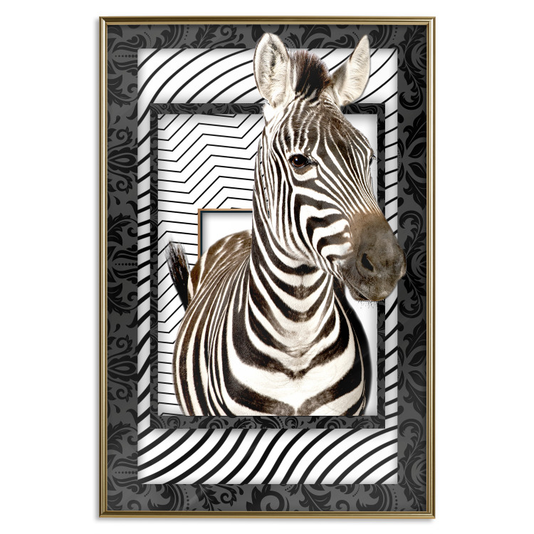 Poster Zebra - black and white composition with a striped mammal on a patterned background 116437 additionalImage 20