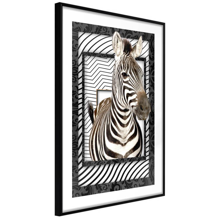 Poster Zebra - black and white composition with a striped mammal on a patterned background 116437 additionalImage 2