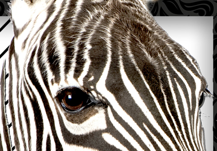 Poster Zebra - black and white composition with a striped mammal on a patterned background 116437 additionalImage 7