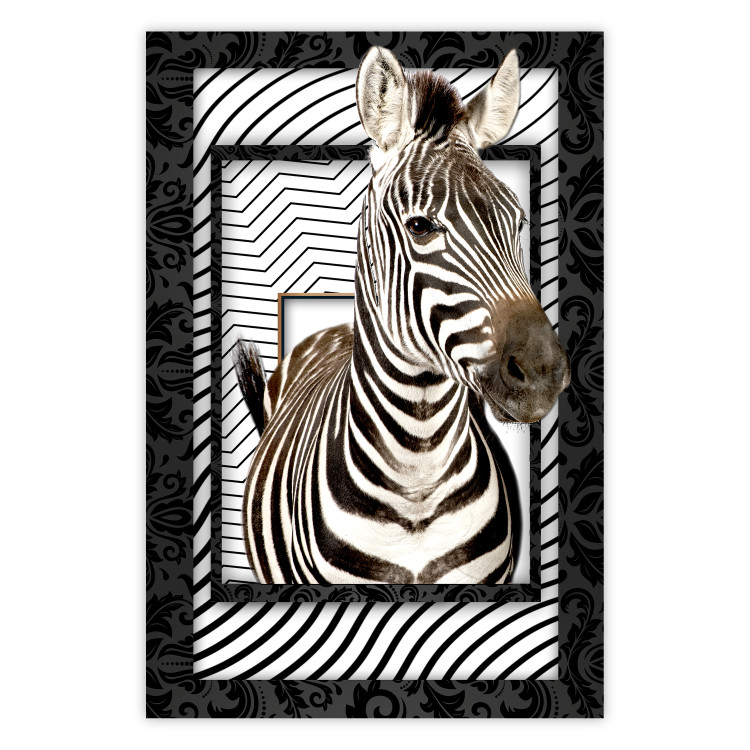 Poster Zebra - black and white composition with a striped mammal on a patterned background 116437