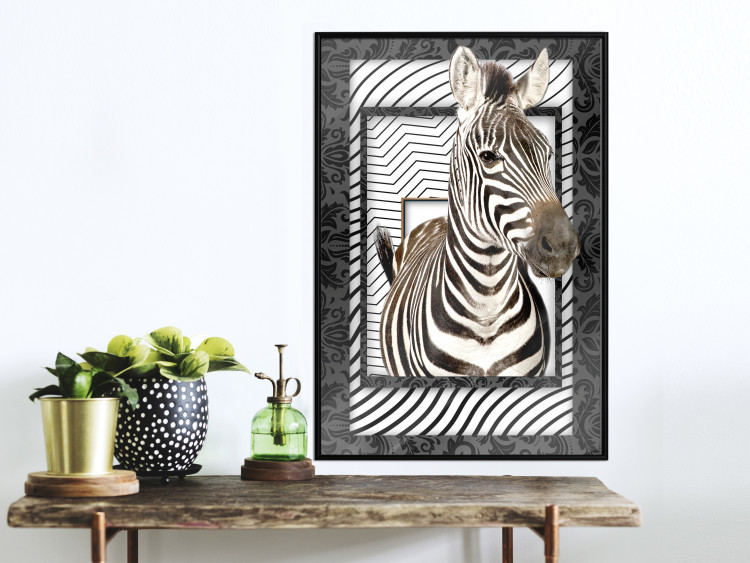 Poster Zebra - black and white composition with a striped mammal on a patterned background 116437 additionalImage 14