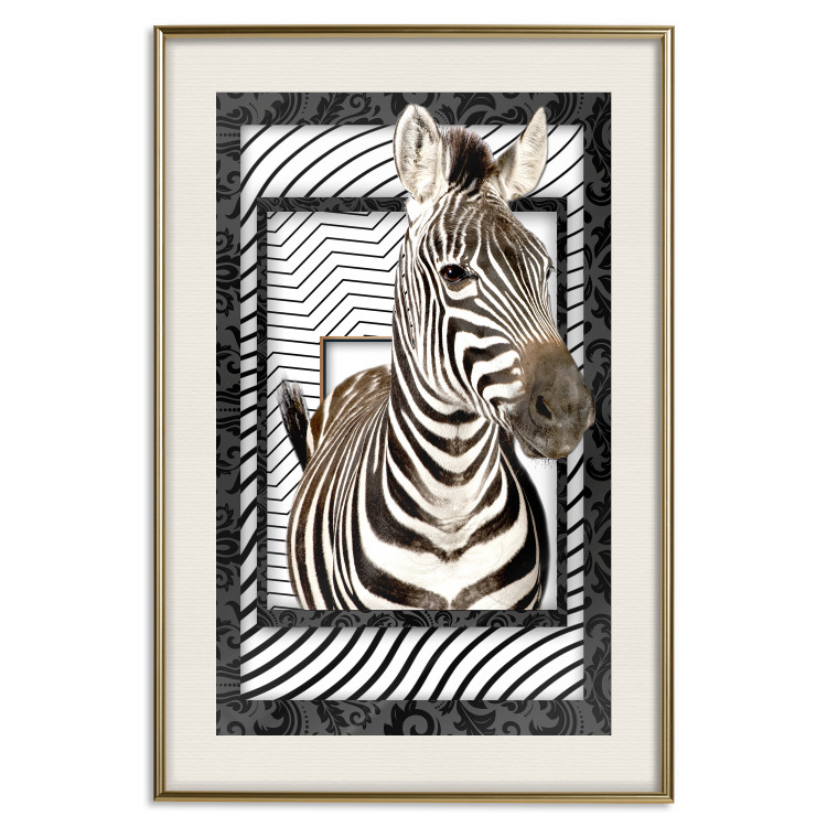 Poster Zebra - black and white composition with a striped mammal on a patterned background 116437 additionalImage 19