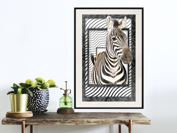 Poster Zebra - black and white composition with a striped mammal on a patterned background 116437 additionalImage 22