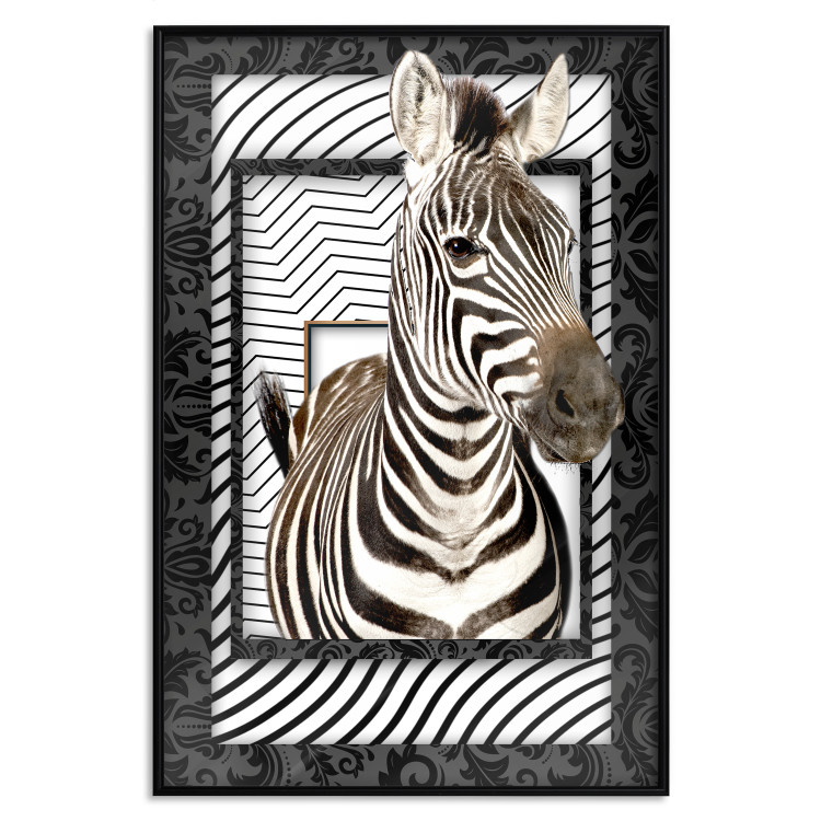 Poster Zebra - black and white composition with a striped mammal on a patterned background 116437 additionalImage 24