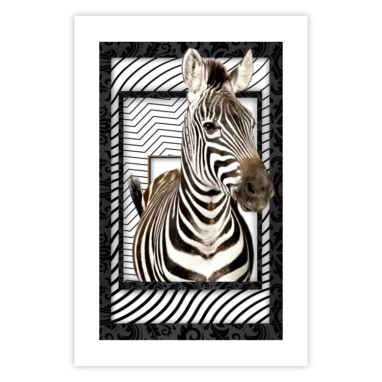 Poster Zebra - black and white composition with a striped mammal on a patterned background 116437 additionalImage 19