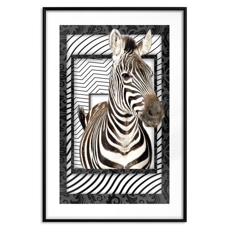 Poster Zebra - black and white composition with a striped mammal on a patterned background 116437 additionalImage 17