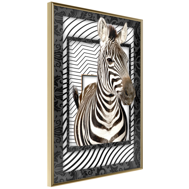 Poster Zebra - black and white composition with a striped mammal on a patterned background 116437 additionalImage 5