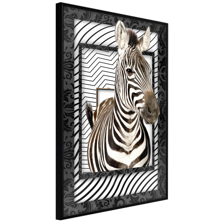 Poster Zebra - black and white composition with a striped mammal on a patterned background 116437 additionalImage 8