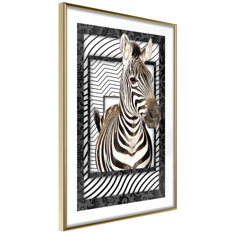 Poster Zebra - black and white composition with a striped mammal on a patterned background 116437 additionalImage 4