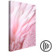 Canvas Print Pink feathers - the delicacy and subtlety of the unique bird nature 117137 additionalThumb 6