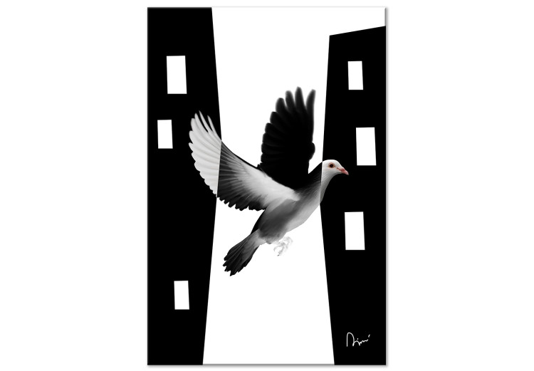 Canvas Art Print City pigeon - a bird that blends into the city in black and white 117237