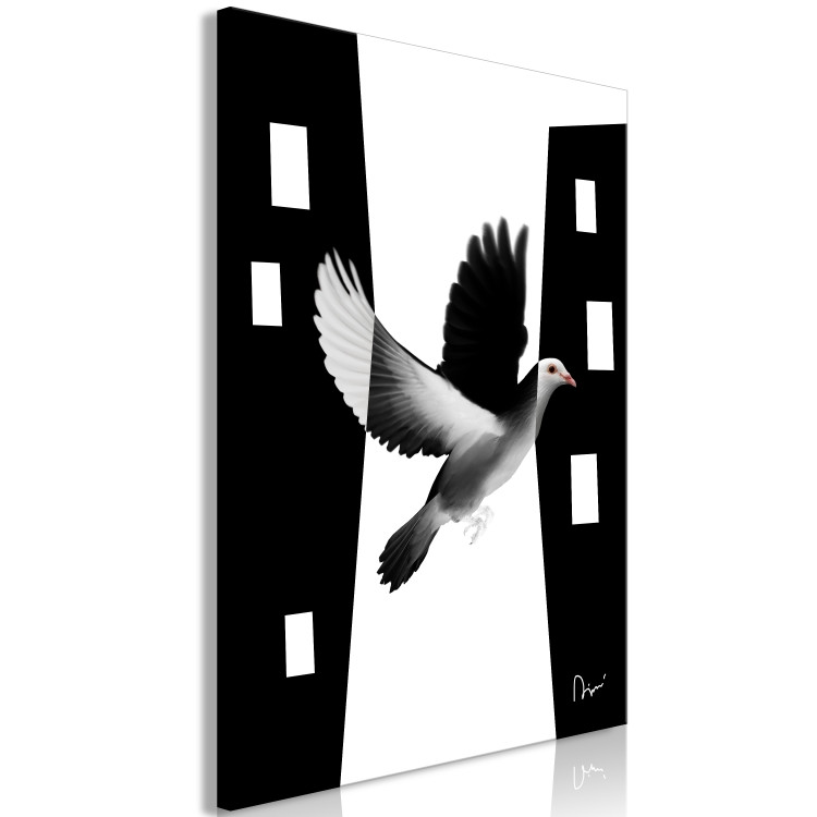 Canvas Art Print City pigeon - a bird that blends into the city in black and white 117237 additionalImage 2