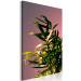 Canvas Print A floral twist - a minimalist photo of a leaf detail in pink 118937 additionalThumb 2