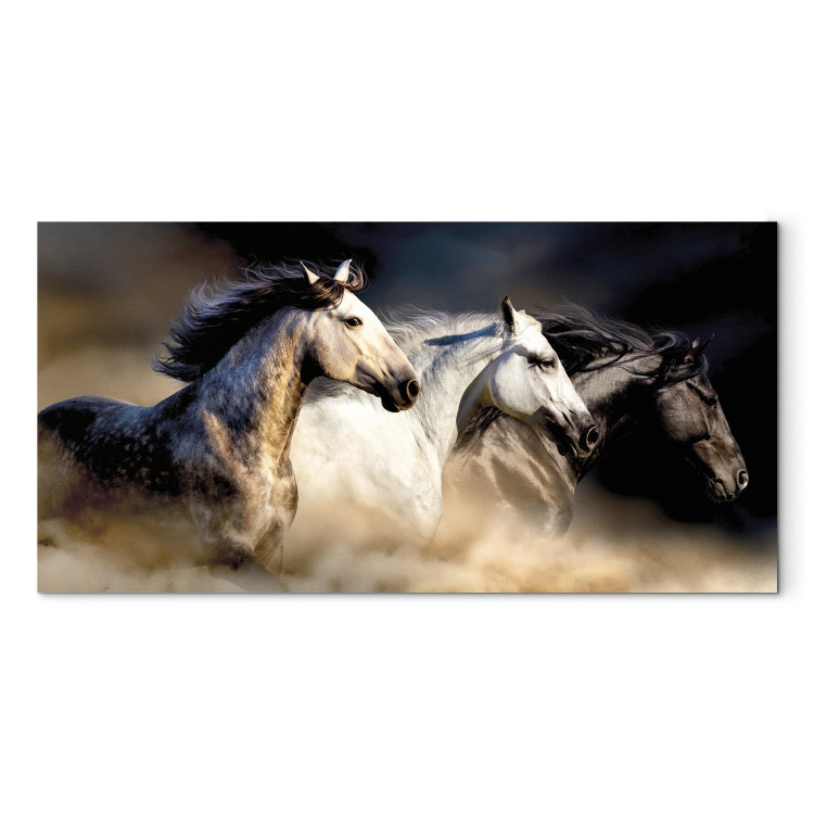 Canvas Art Print Sons of the Wind (1 Part) Wide 122237 additionalImage 7