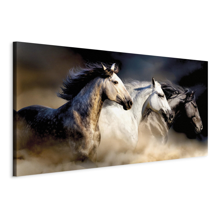 Canvas Art Print Sons of the Wind (1 Part) Wide 122237 additionalImage 2