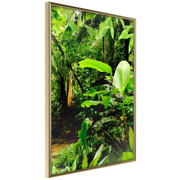 Wall Poster Lungs of the Earth - jungle landscape scenery with lush green leaves 123937 additionalImage 12