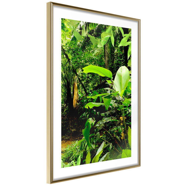 Wall Poster Lungs of the Earth - jungle landscape scenery with lush green leaves 123937 additionalImage 8