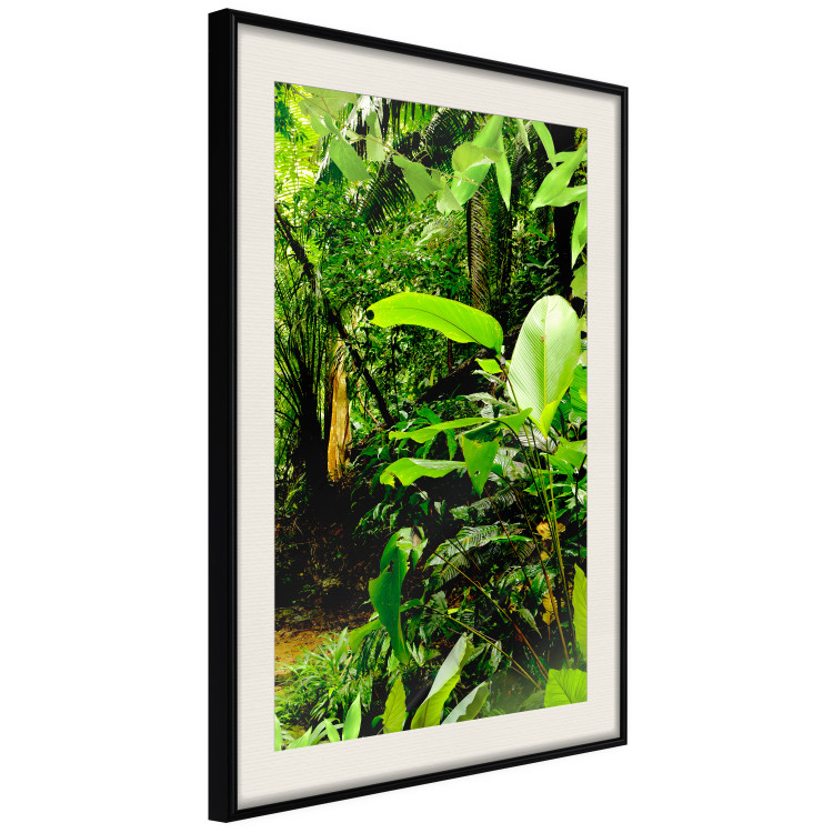 Wall Poster Lungs of the Earth - jungle landscape scenery with lush green leaves 123937 additionalImage 3