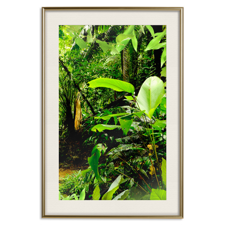 Wall Poster Lungs of the Earth - jungle landscape scenery with lush green leaves 123937 additionalImage 20