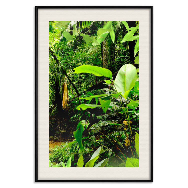 Wall Poster Lungs of the Earth - jungle landscape scenery with lush green leaves 123937 additionalImage 19
