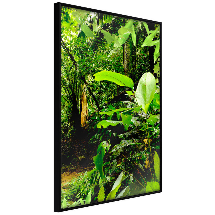 Wall Poster Lungs of the Earth - jungle landscape scenery with lush green leaves 123937 additionalImage 10