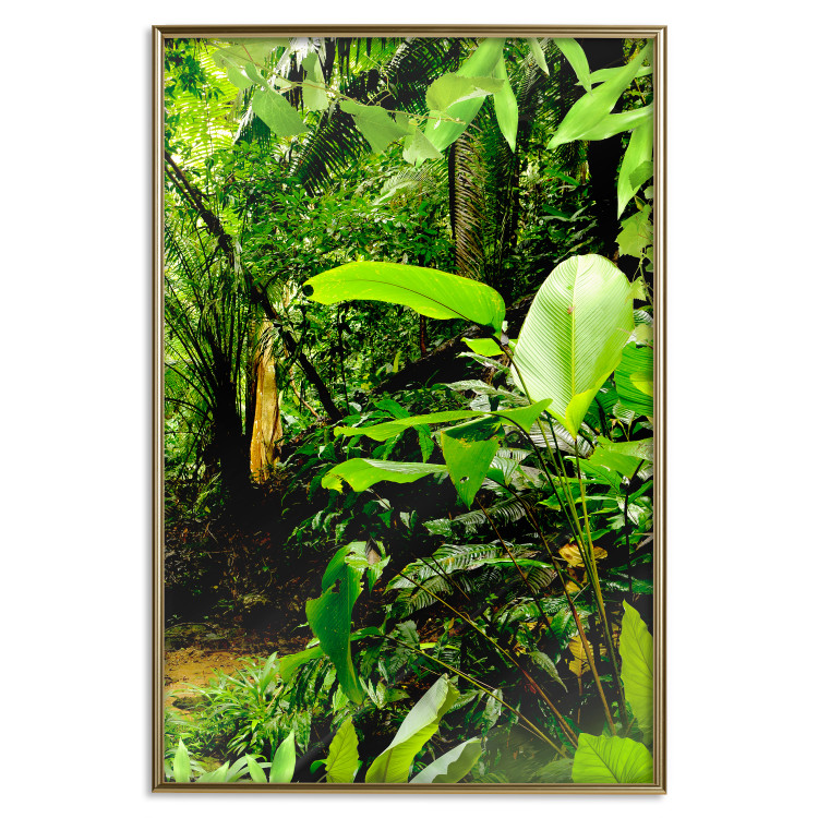 Wall Poster Lungs of the Earth - jungle landscape scenery with lush green leaves 123937 additionalImage 20