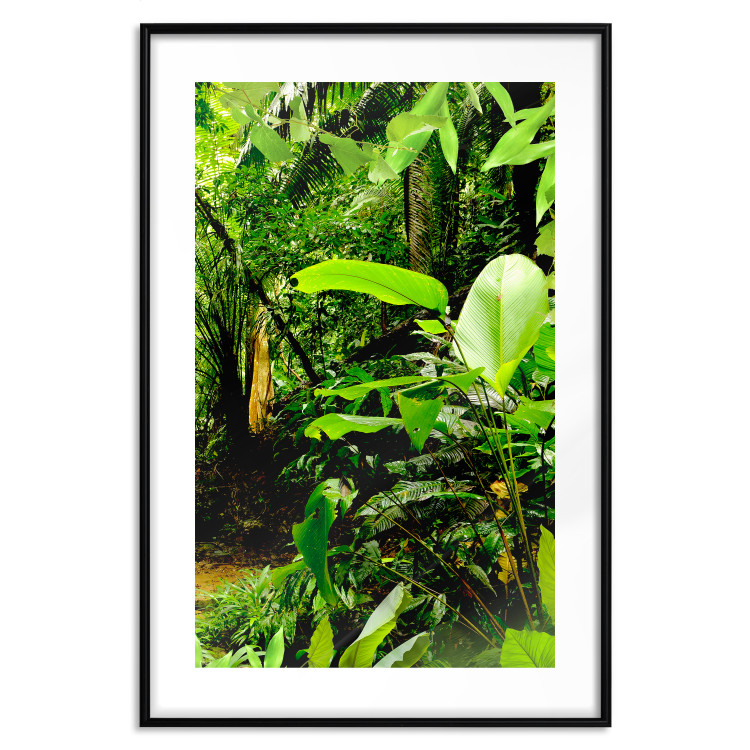 Wall Poster Lungs of the Earth - jungle landscape scenery with lush green leaves 123937 additionalImage 15