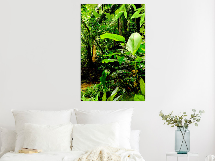 Wall Poster Lungs of the Earth - jungle landscape scenery with lush green leaves 123937 additionalImage 16