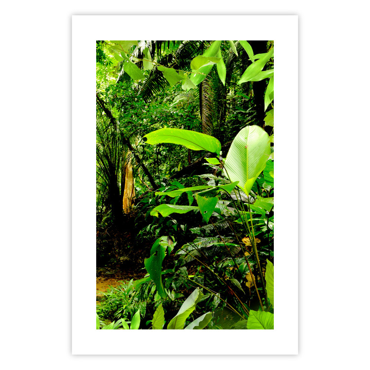 Wall Poster Lungs of the Earth - jungle landscape scenery with lush green leaves 123937 additionalImage 26