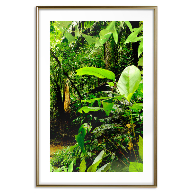 Wall Poster Lungs of the Earth - jungle landscape scenery with lush green leaves 123937 additionalImage 17