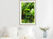 Wall Poster Lungs of the Earth - jungle landscape scenery with lush green leaves 123937 additionalThumb 13