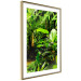 Wall Poster Lungs of the Earth - jungle landscape scenery with lush green leaves 123937 additionalThumb 8