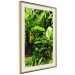 Wall Poster Lungs of the Earth - jungle landscape scenery with lush green leaves 123937 additionalThumb 2
