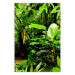 Wall Poster Lungs of the Earth - jungle landscape scenery with lush green leaves 123937