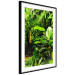 Wall Poster Lungs of the Earth - jungle landscape scenery with lush green leaves 123937 additionalThumb 11