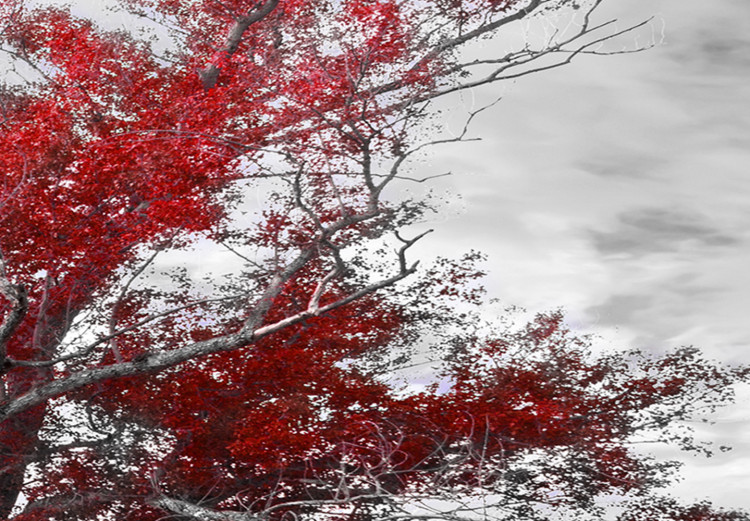Large canvas print Tree near the Road - Red II [Large Format] 128737 additionalImage 4