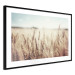 Wall Poster Golden Field - landscape of a field full of golden grain against the sky 129837 additionalThumb 8