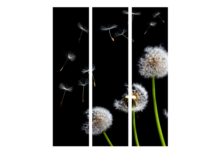 Room Divider Dandelions, Kites, Wind... - dandelion flowers on a black background 133937 additionalImage 3